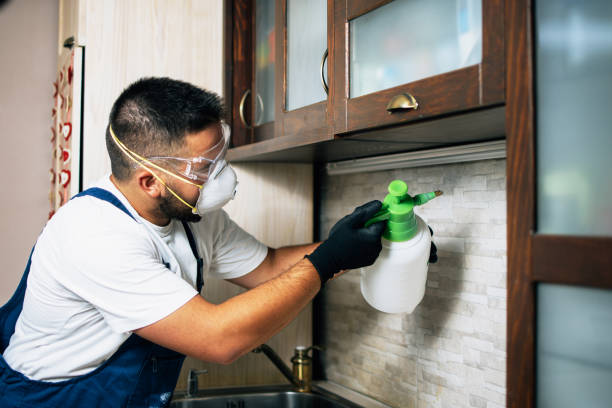 Best Affordable Pest Control Services  in Lower Lake, CA