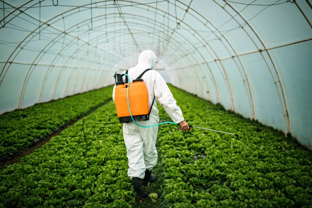 Best Pest Control Near Me  in Lower Lake, CA