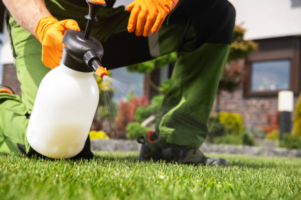 Best Mosquito Control Services  in Lower Lake, CA
