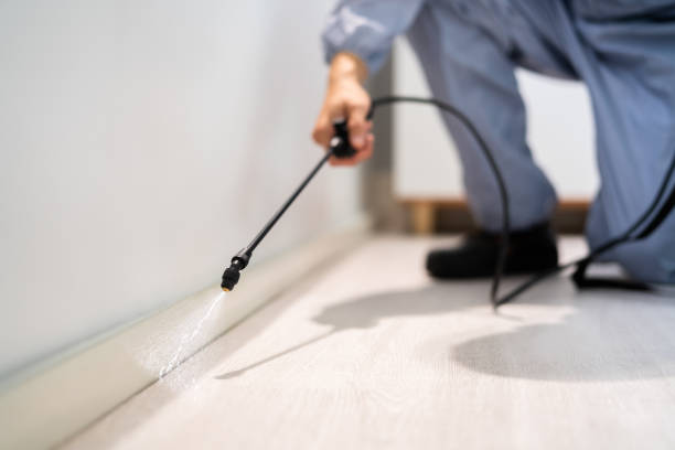 Best Cockroach Control Services  in Lower Lake, CA