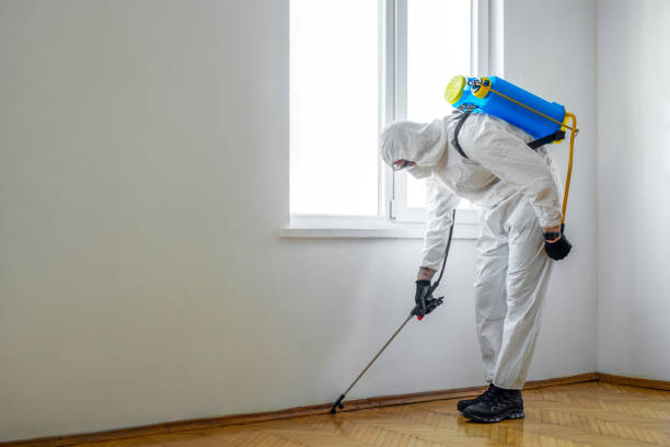 Best Exterminator Services  in Lower Lake, CA