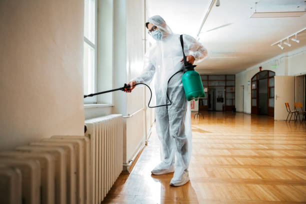 Trusted Lower Lake, CA Pest Control Experts